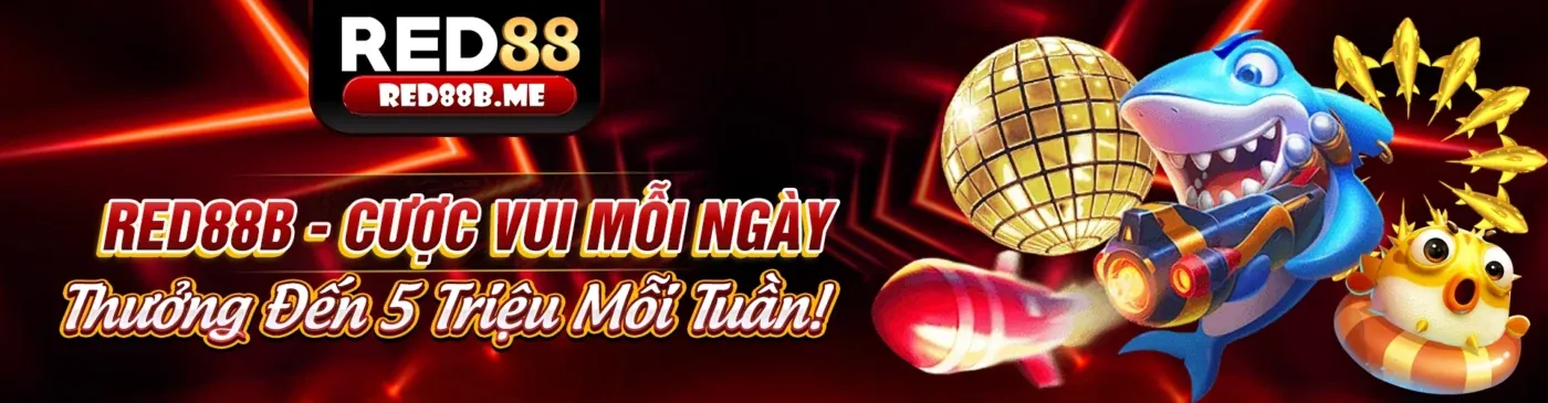 Giao diện ứng dụng Ku Casino trên điện thoại di động