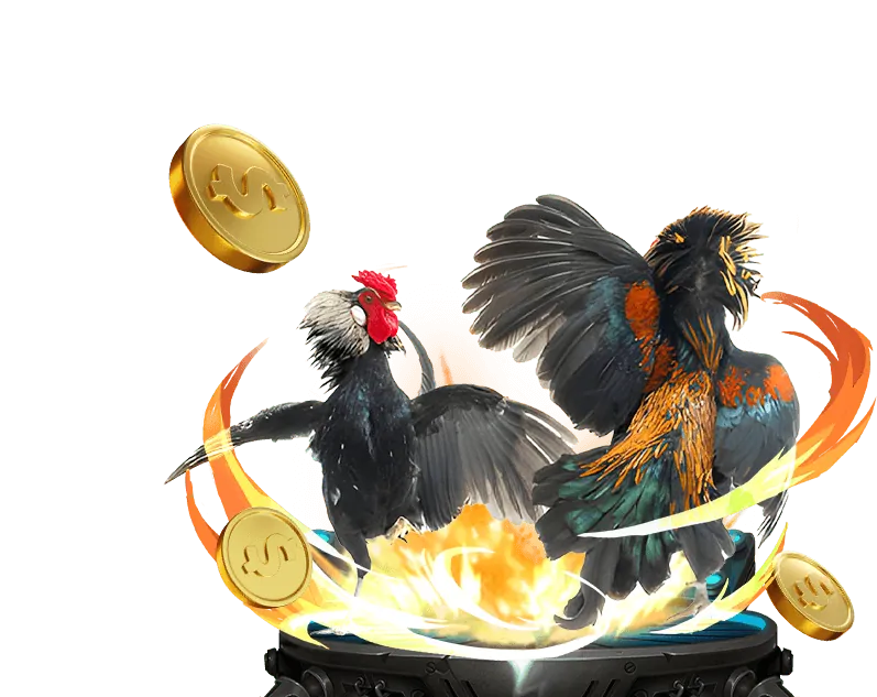 Tổng quan về nền tảng đá gà trực tuyến Ku Casino Nhà Cái